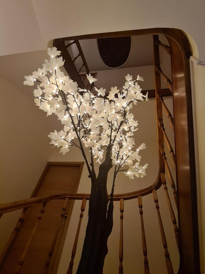 Green House أفيرو المظهر الخارجي الصورة