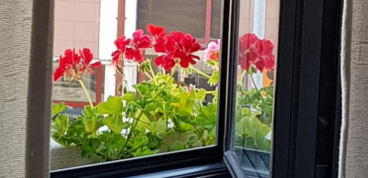 Green House أفيرو المظهر الخارجي الصورة