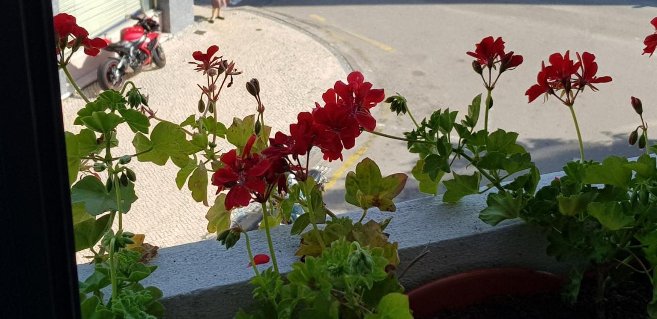 Green House أفيرو المظهر الخارجي الصورة